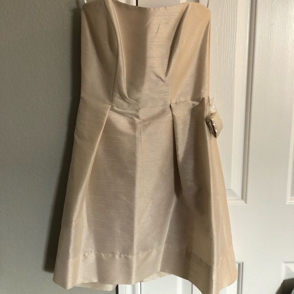 ALFRED SUNG Champagne Cocktail Mini Dress Size: 4